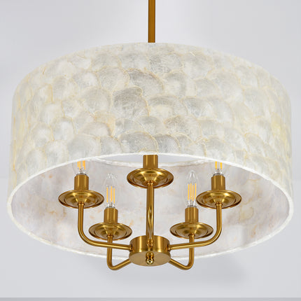 5-Light Antique Gold Capiz Shell Drum Chandelier