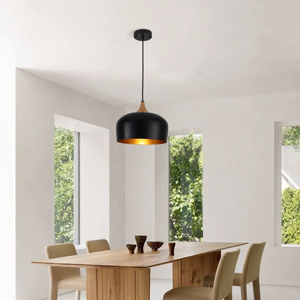 Pendant Light Minimalist Dome