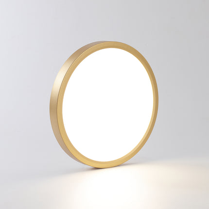 LED Flush Mount Ceiling Light