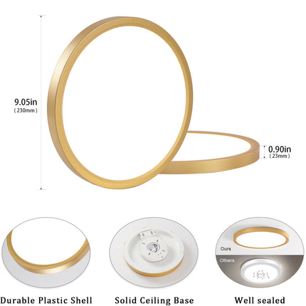 LED Flush Mount Ceiling Light