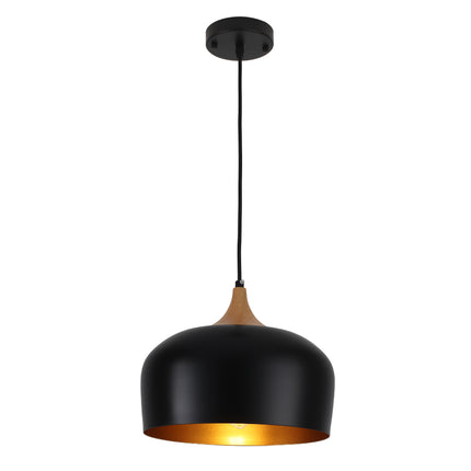 Pendant Light Minimalist Dome