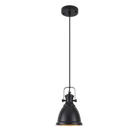 Industrial Black Dome Pendant Light