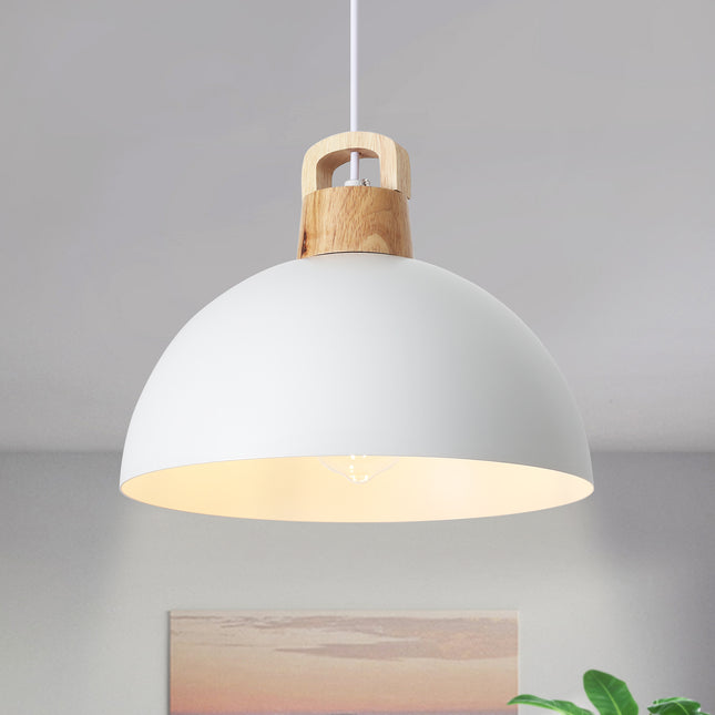Pendant Light Iron Shade