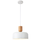 Pendant Light Dome Wooden