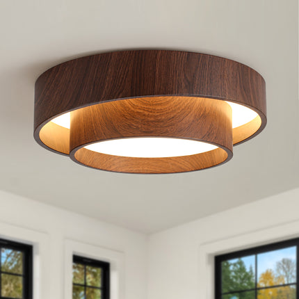 Ceiling Light Iron LED