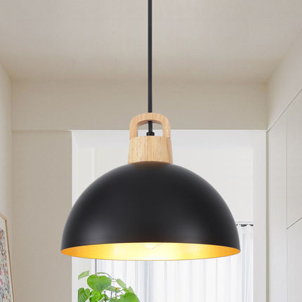 Pendant Light Iron Shade Plug-in