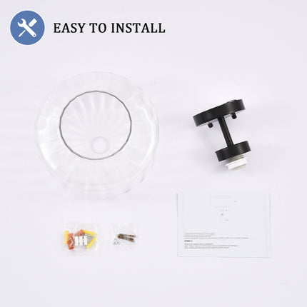 Black Clear Glass Ceiling Light