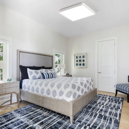 Flush Mount Ceiling Light Dimmable LED