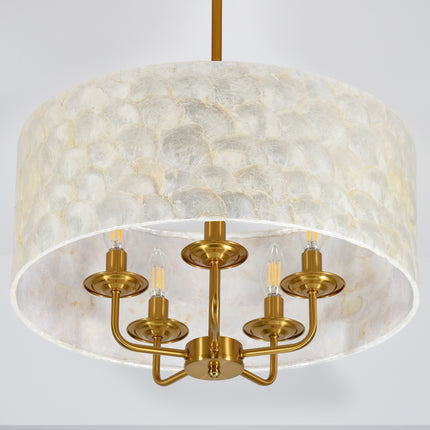 5-Light Antique Gold Capiz Shell Drum Chandelier