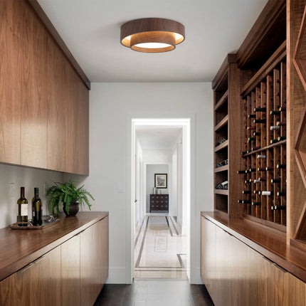 Ceiling Light Iron LED