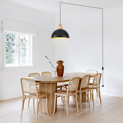 Pendant Light Iron Shade Plug-in