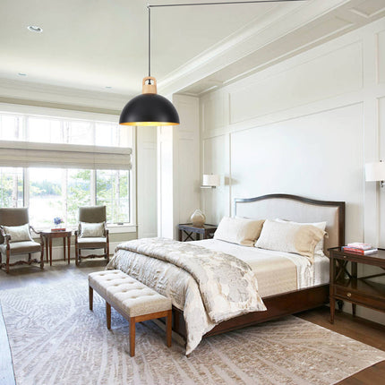 Pendant Light Iron Shade Plug-in