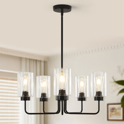 Chandelier Iron Glass 5-Light