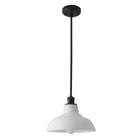 Pendant Light Glass Dome Shade