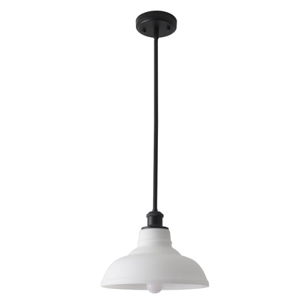 Pendant Light Glass Dome Shade