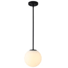 Pendant Light Glass Globe Shade