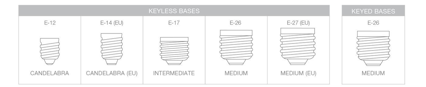 <h1>Bases</h1>